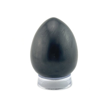 Shungite Polished Egg